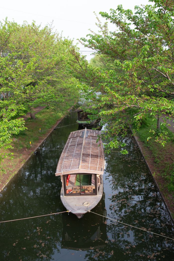 Kerala Weekend Getaway | Misty Hills & Calm Backwaters