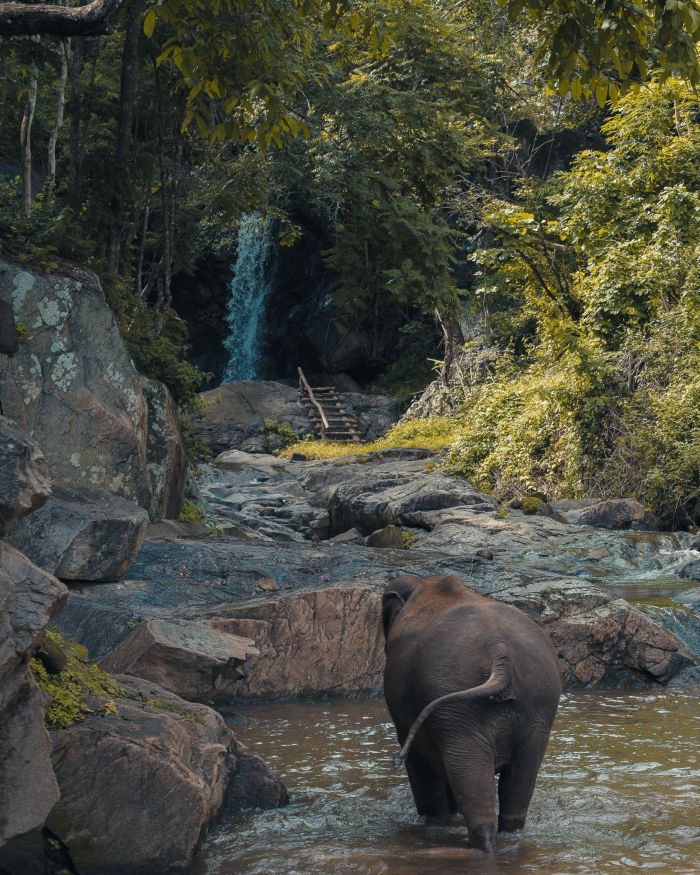 Kerala Group Tour Package | Free Visit to Periyar National Park