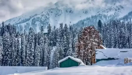 Best of Kashmir | Free Shikara Ride
