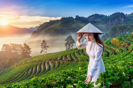 Vietnam Couple Exclusive | Free Candle Light Dinner