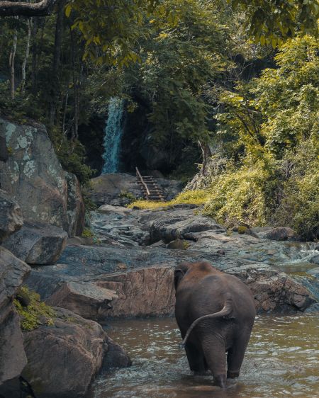 Kerala Group Tour Package | Free Visit to Periyar National Park
