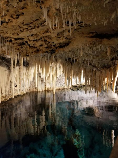 Discover Bermuda